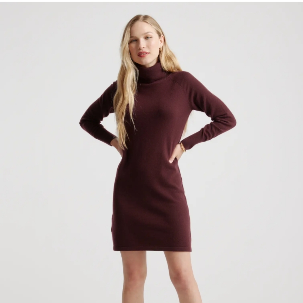 Quince Burgundy Sweater dress XS